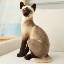 Load image into Gallery viewer, Stuffed Siamese Cats Plush Toy