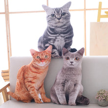 Load image into Gallery viewer, Cute_50cm_Cat_Plush_Pillow_Soft_Stuffed_Animal_Cushion_for_Kids_and_Adults_orange_cat_plushie_grey_cat_plushie_white_cat_plushie

