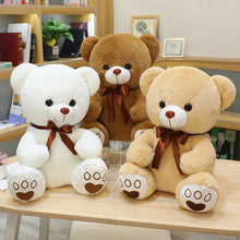 Load image into Gallery viewer, teddy bears with ribbon, white teddy bear, pink teddy bear, brown teddy bear
