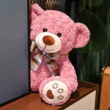 Load image into Gallery viewer, Cute Classic Pink Purple Teddy Bear
