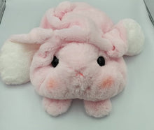 Load image into Gallery viewer, cute pink rabbit plushie, cute rabbit pliush toy, rabbit plushie, pink 40cm rabbit plushie, pluffyy rabbit tooys
