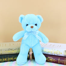 Load image into Gallery viewer, Plush Colourful Teddy Bear 35cm
