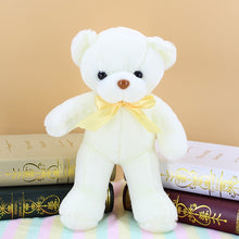 Load image into Gallery viewer, Plush Colourful Teddy Bear 35cm
