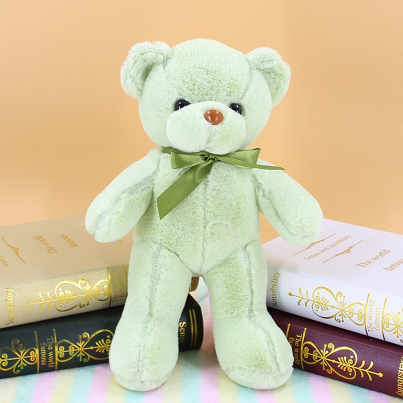 Plush Colourful Teddy Bear 35cm