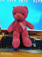 Load image into Gallery viewer, Plush Colourful Teddy Bear 35cm
