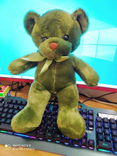 Load image into Gallery viewer, Plush Colourful Teddy Bear 35cm
