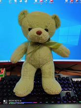 Load image into Gallery viewer, Plush Colourful Teddy Bear 35cm
