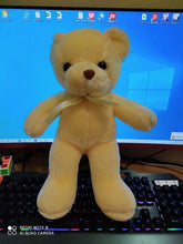 Load image into Gallery viewer, Plush Colourful Teddy Bear 35cm
