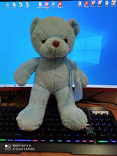 Load image into Gallery viewer, Plush Colourful Teddy Bear 35cm
