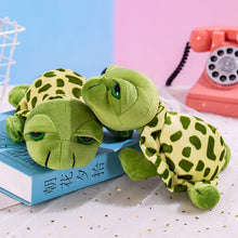 Load image into Gallery viewer, Big Eyes Turtle Plush Toy
