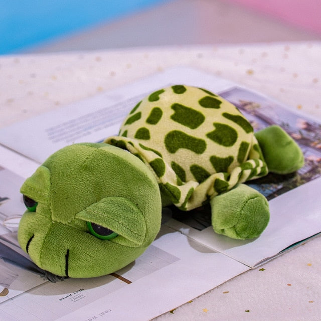 Big Eyes Turtle Plush Toy