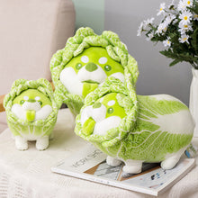 Load image into Gallery viewer, shiba inu plushie, shiba inu plush toys, shiba inu soft toy, cabbage soft toy, food plush, food plushie, food soft toy, stuffed animal food
